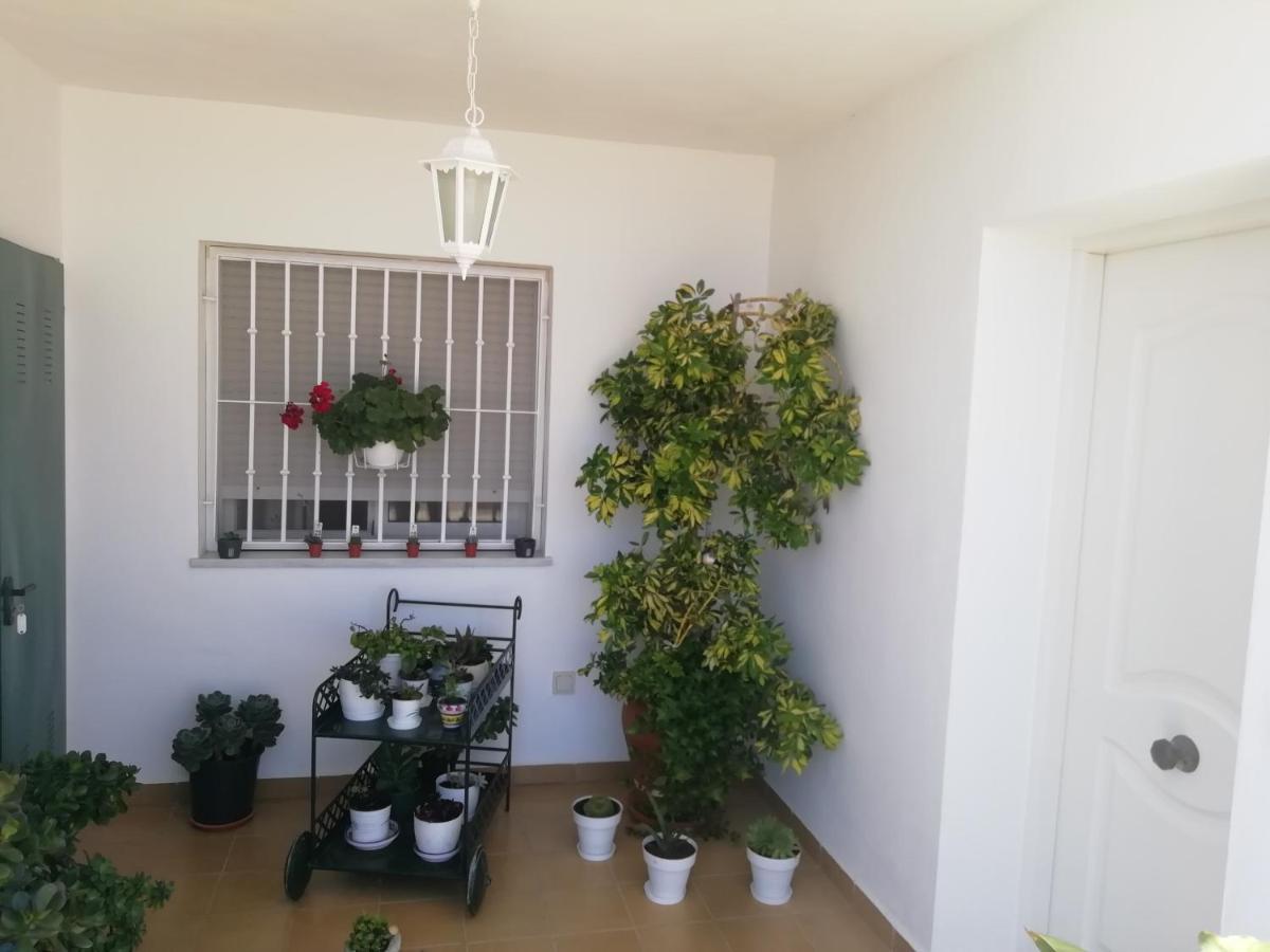 Las Gemelas De Terreros 1 San Juan De Los Terreros Bagian luar foto