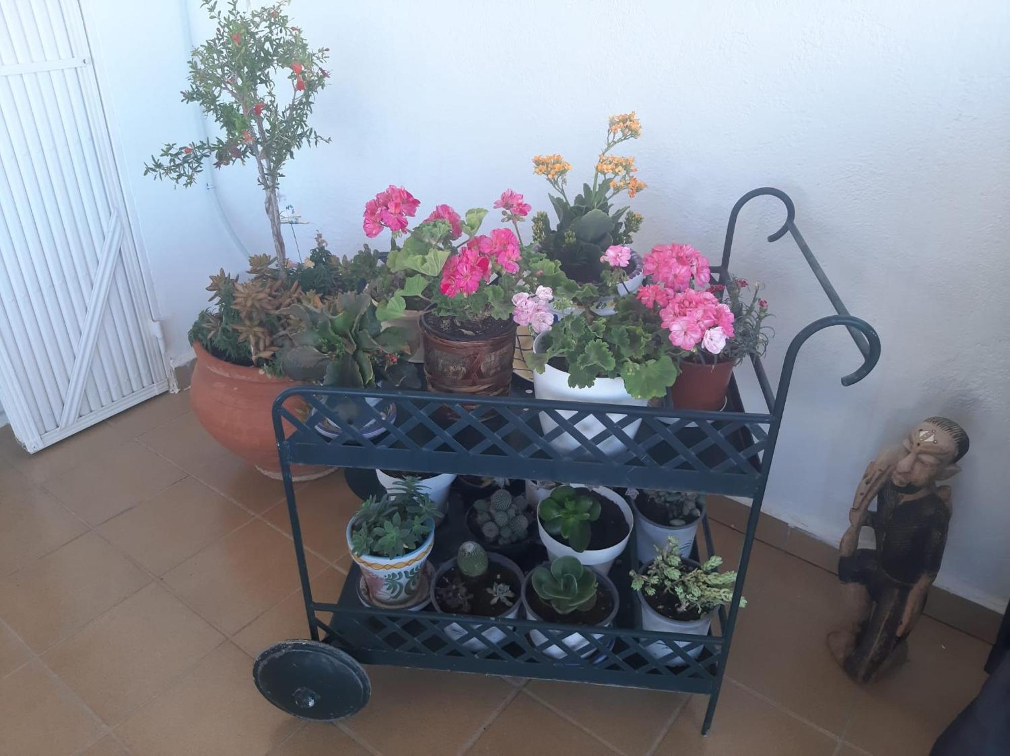 Las Gemelas De Terreros 1 San Juan De Los Terreros Bagian luar foto